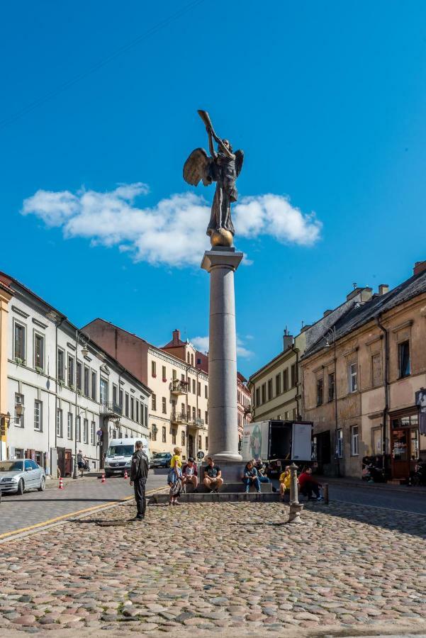 Angel House Vilnius 38アパートメント エクステリア 写真